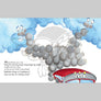 Ang Barumbadong Bus - Picture Book
