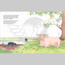 Rosa Albina - Picture Book