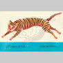 Tiger on the Wall - Picture Book
