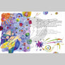 Xilef - Picture Book