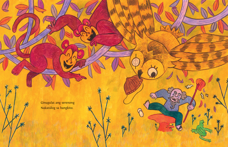 Ang Sekreto Ng Kuwago - Picture Book