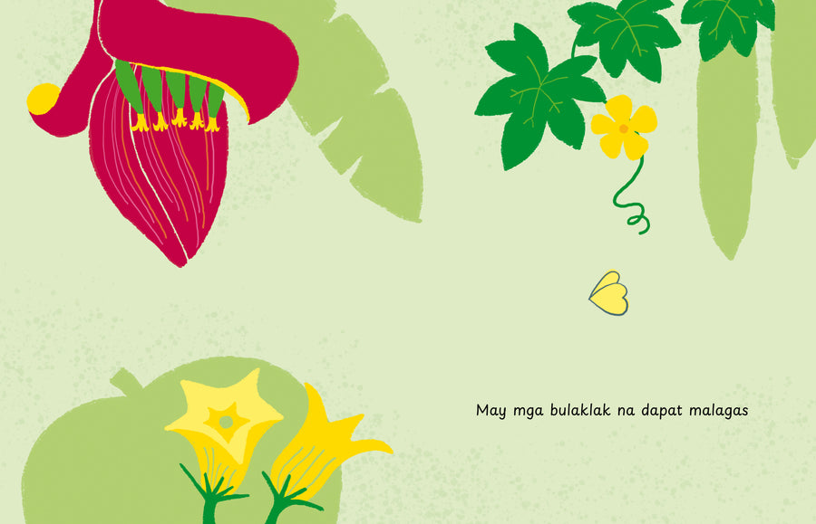 May Mga Bulaklak (Ikalawang Edisyon) - Picture Book