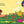 Excuse Me Po! - Board Book