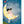 The Moon is My Friend - Picture Book